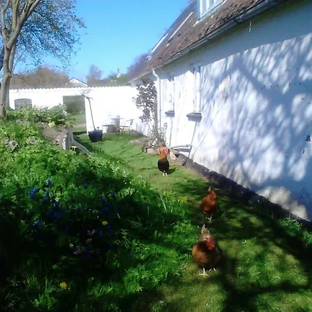 Møn økologisk Bed & Breakfast
