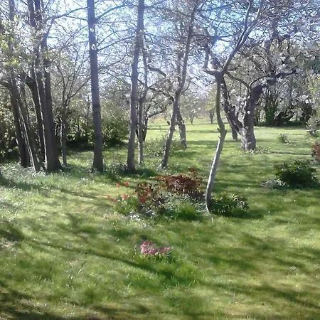 Bed & Breakfast Moen Oekologisk Askeby