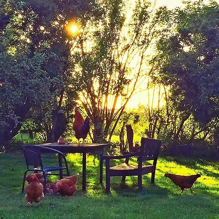 Bed & Breakfast Moen Oekologisk *