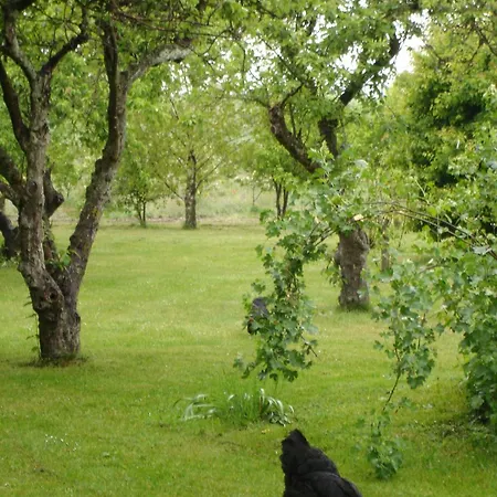 Moen Oekologisk Bed & Breakfast