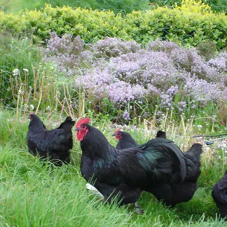 Moen Oekologisk Bed & Breakfast Askeby