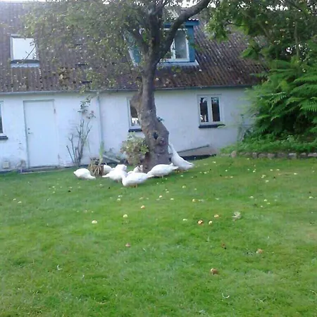 Moen Oekologisk Askeby