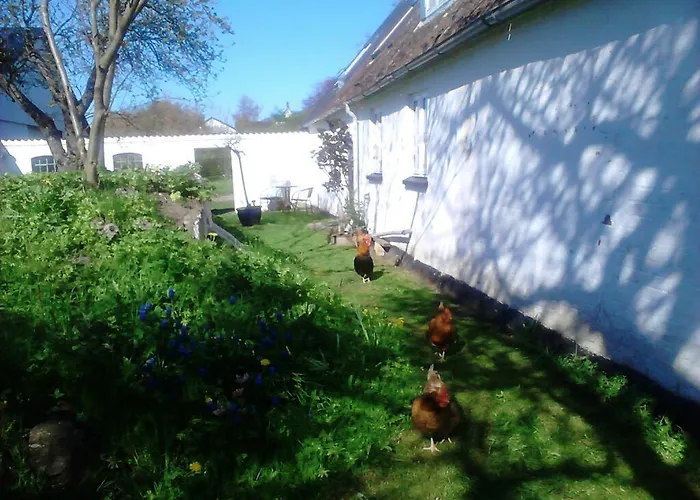 Moen Oekologisk Bed & Breakfast