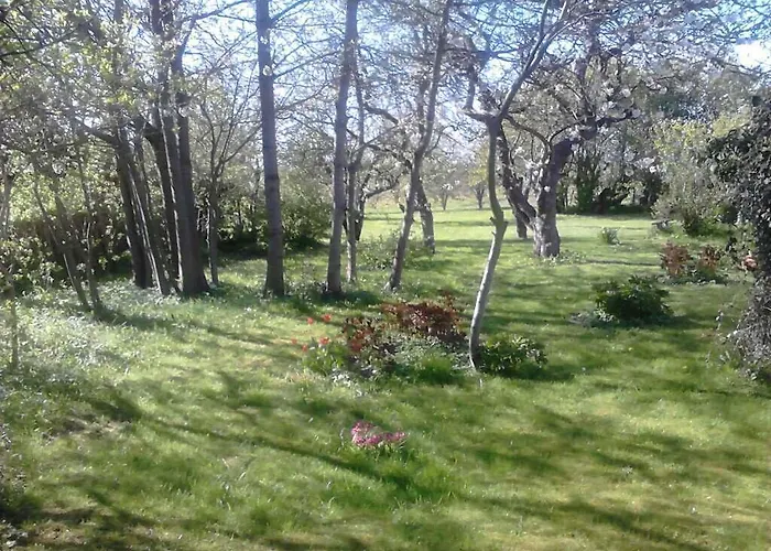 Bed & Breakfast Moen Oekologisk Askeby