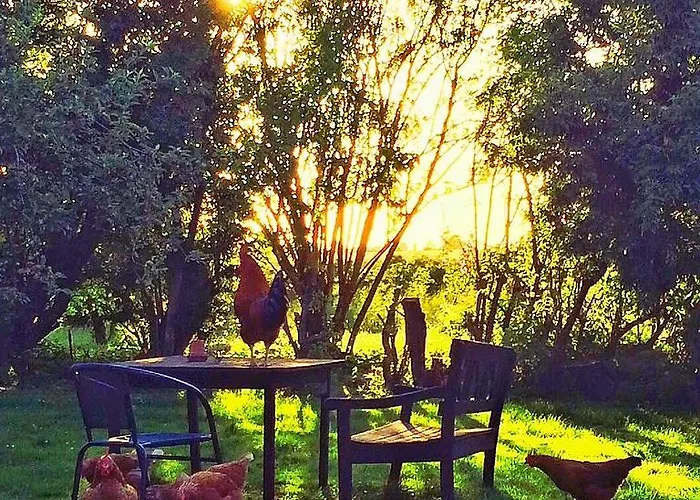 Bed & Breakfast Moen Oekologisk *