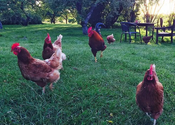 Moen Oekologisk Bed & Breakfast *