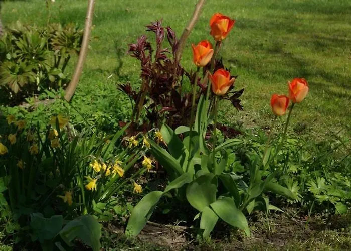 Moen Oekologisk Bed & Breakfast Askeby