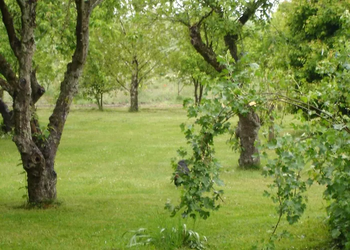 Moen Oekologisk Bed & Breakfast