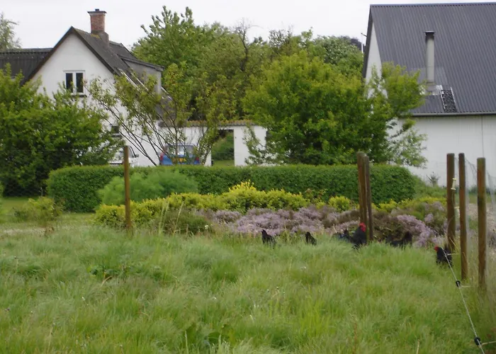 Moen Oekologisk Bed & Breakfast *